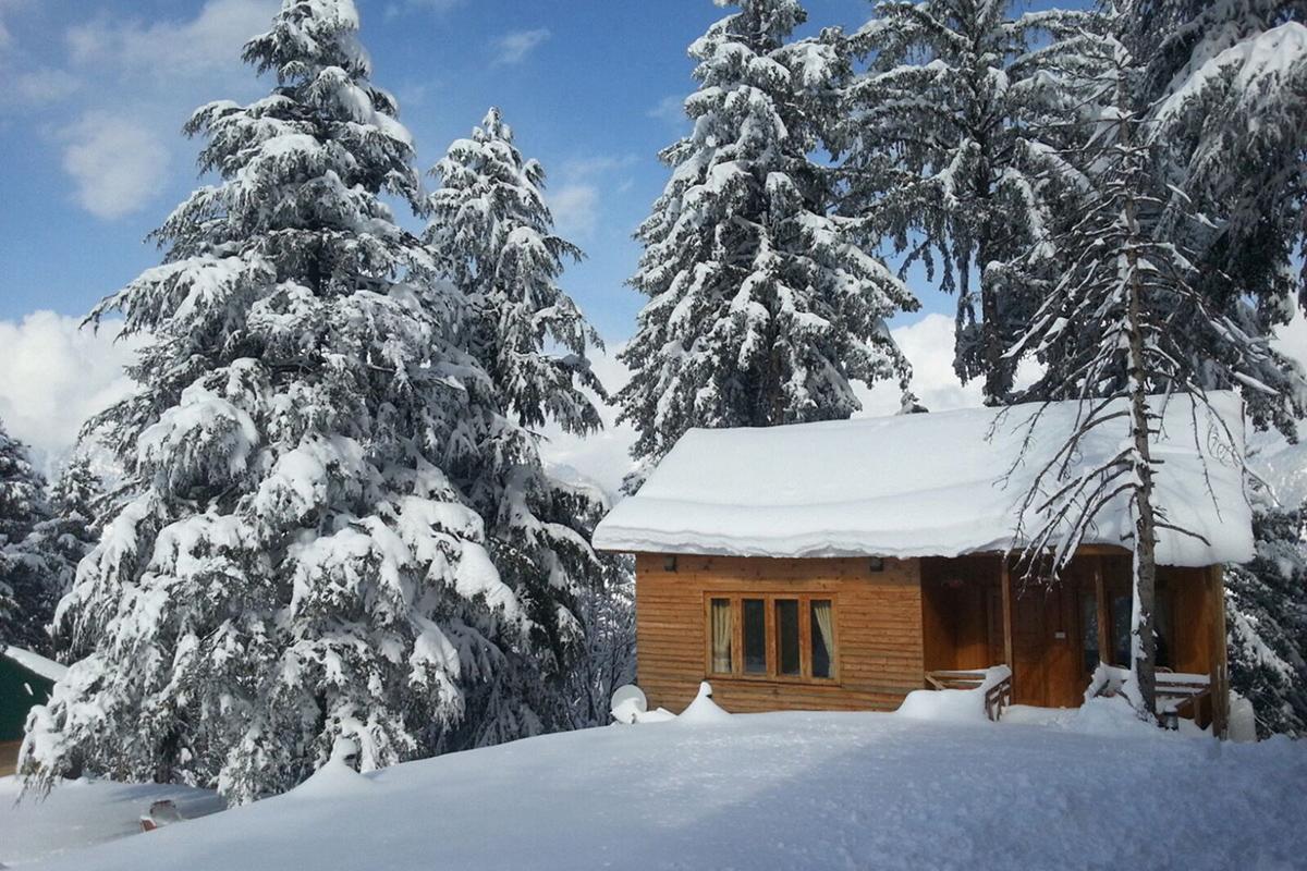 Arcadian Sprucewoods Shogran Exterior foto